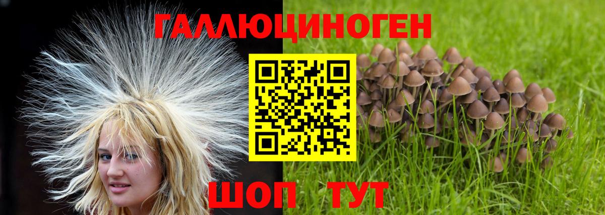 Галлюциногенные грибы Cubensis Саров